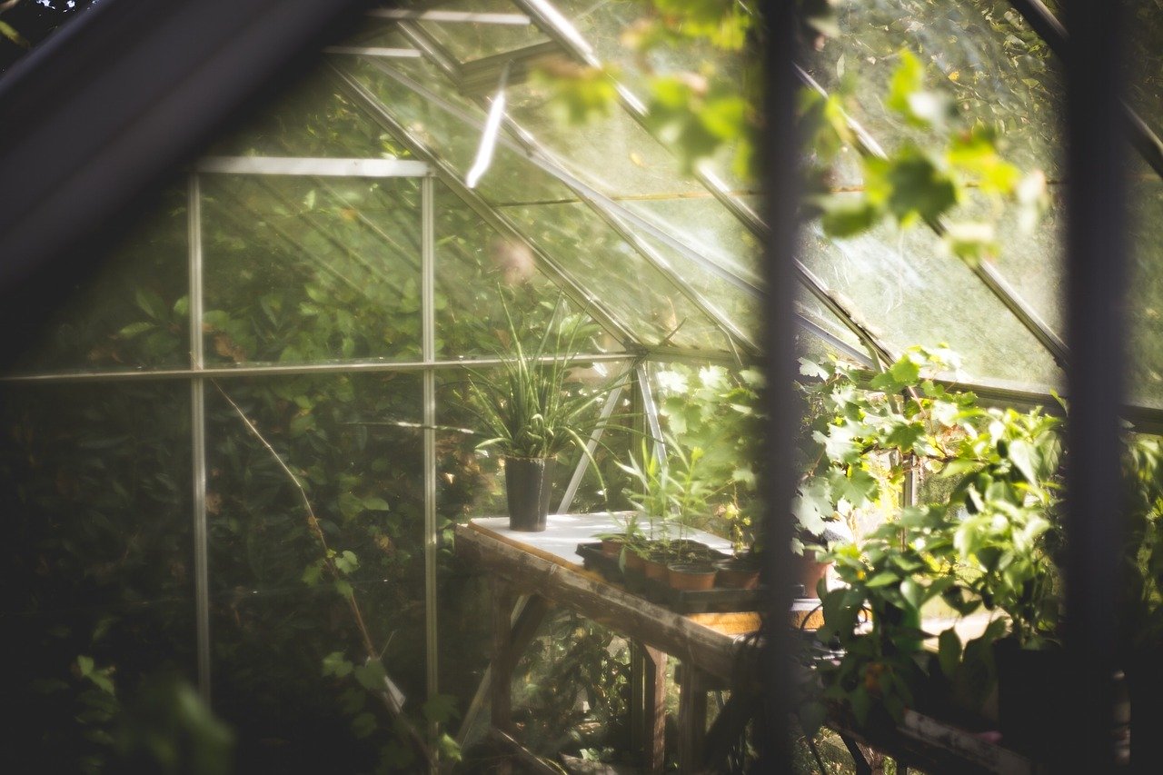 best greenhouse kits for Southern gardens