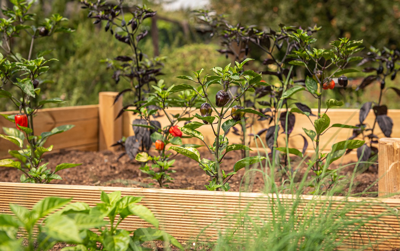best soil for raised beds
